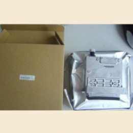 Genuine Seiko SPT-255/12pl Printhead