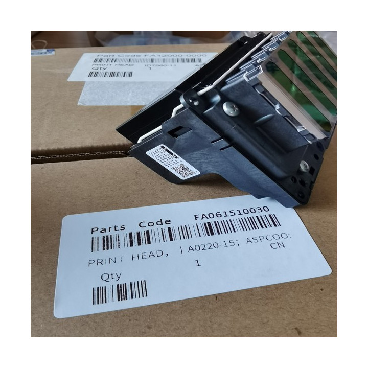 Genuine Epson FA10030 T series Printhead