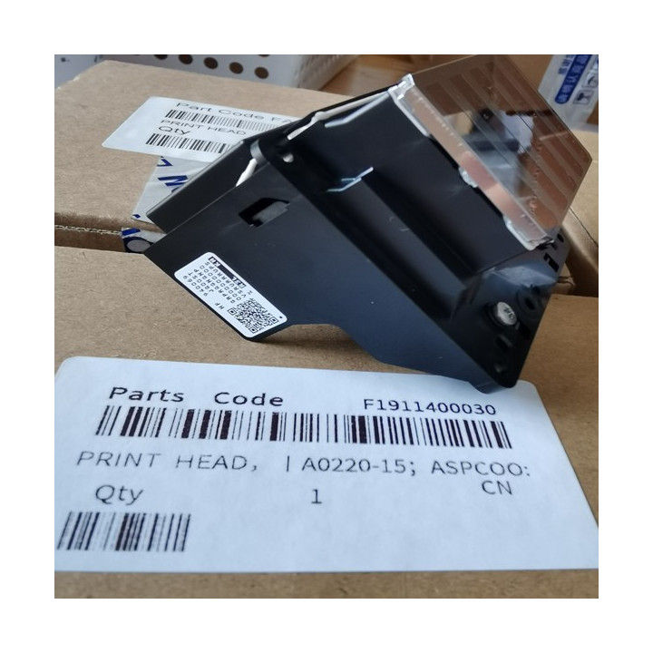 Genuine Epson FA10030 T series Printhead
