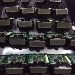 Genuine Print Head Color DX2 Color