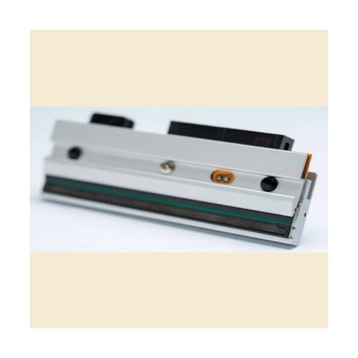 Genuine Zebra P1029257-001 Thermal Printhead TTP 2100 Printhead 203 dpi